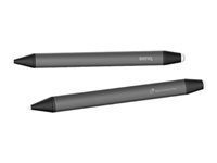 BENQ STYLUS FOR RM03 (GR)
